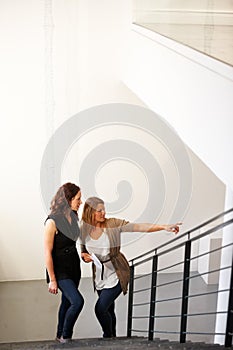 Planning, talking and women in a museum for art, exhibition or conversation about creativity. Friends, stairs and