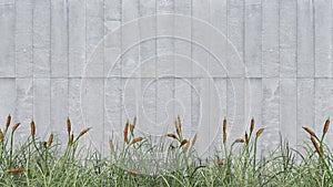 plant background grass on wall concrete. walpapaer