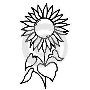 Plant. Beautiful blooming sunflower with leaves. Vector illustration. Hand drawn in doodle style. For design, decor and