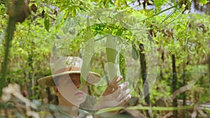 Plant breeder with laptop checks exotic hybrid vegetable cultivated on farm. Agronomist woman on selection of bottle