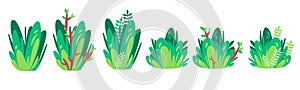 plant bushes shrub vector illustration collection set for game asset green farm gardening graphic element
