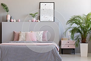 Plant and cabinet next to bed with pillows in grey and pink bedroom interior with poster. Real photo