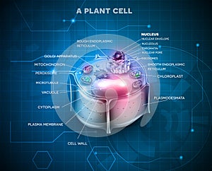 Plant Cell background