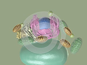 Plant cell contents