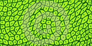 Plant cell texture under a microscope or abstract green seamless pattern