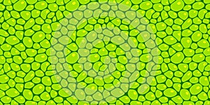 Plant cells template background vector illustration. Leaf structure seamless pattern. Green plant chlorophyll texture