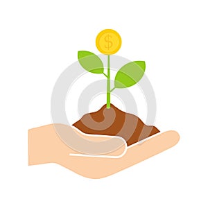 Plant coin grown icon. Businessman holding a green business plant in hand.