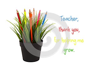 Plant with colored pencils. Card for the end of the school year with text 'Teacher, thank you ,for helping me grow.'