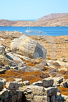 plant in delos greece the historycal