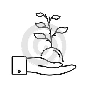 Plant development icon in human hands. Sprout in hand. Simple linear image. Isolated vector on white background.