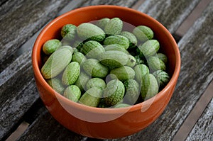 The plant is a distant relative of cucumbers, and these