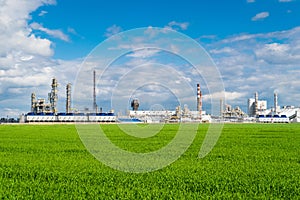 Plant fertilizer on a green meadow