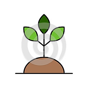 Plant flat vector icon sign symbol