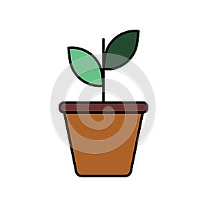 Plant flat vector icon sign symbol