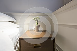 Plant in flowerpot, hotel room decoration