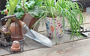 plant and flowerpot with shovel on wooden table