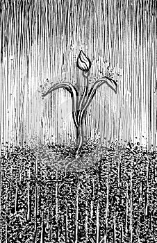 plant germinate under the rain sketch