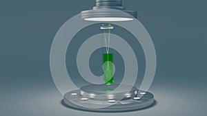 plant germination inside a test tube inside of incubation chamber