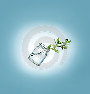 A plant in a glass jar levitating on a blue background. The concept of nature conservation