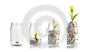 Plant glowing on coins  stacking inside of jar with white background.Dividend of Banking Deposit and stock investment concept