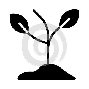 Plant glyph flat vector icon