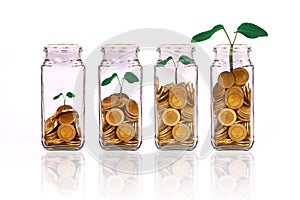 Plant gowned on Money coins in bottle on white background,Business