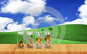 Plant gowned on Money coins in bottle on white background,Business