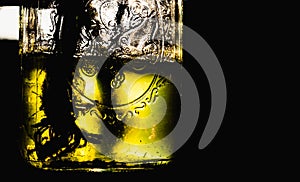 Plant growing in an algae mossy water