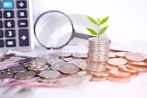 Plant growing on coins , business csr concept with calculator