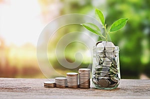 Plant growing on Coins glass jar and concept money saving