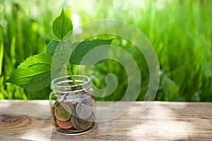 Plant growing on Coins glass jar. Concept money saving coins