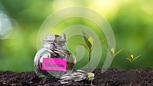 Plant growing in Coins glass jar on dry with education  for together and success.