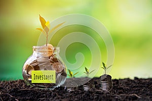 Plant growing in Coins glass jar on dry with investment paper label for money planning travel and retirement.