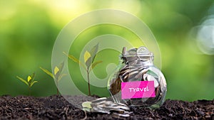 Plant growing in Coins glass jar on dry for travel together and success