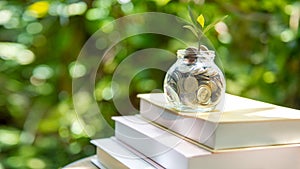 Plant growing in Coins glass jar for education together and success. Saving money planning future education.