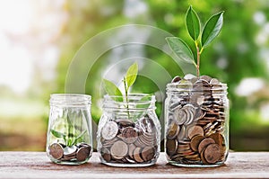 Plant growing Coins in glass jar with investment financial conc photo