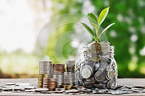 Plant growing Coins in glass jar with investment financial conc photo