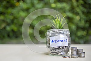 Plant growing in Coins glass jar with investment paper label for money saving and investment financial concept