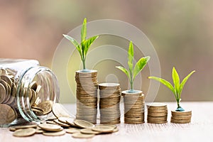 Plant growing in Coins glass jar for money saving and investment financial, concept for business, innovation, growth and money