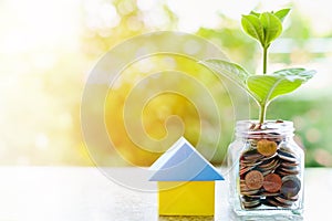 Plant growing from coins in the glass jar and paper house origami on blurred green natural background with sun light effect