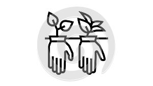 plant growing from gloves line icon animation