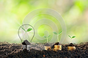 Plant growing in light bulb ,new life on nature green background growth ecology development business idea education concept ,