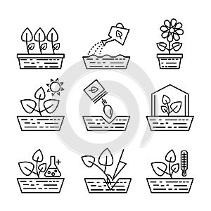 Plant growing line icons. Vector greenhouse planting and seedling outline signs