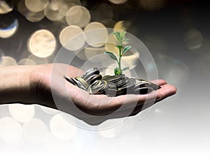 Plant growing from money coins by a women hands - business and financial