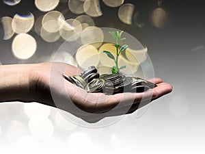 Plant growing from money coins by a women hands - business and financial
