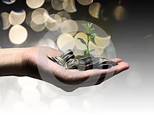 Plant growing from money coins by a women hands - business and financial