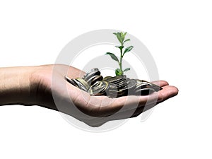 Plant growing from money coins by a women hands - business and financial metaphor concept