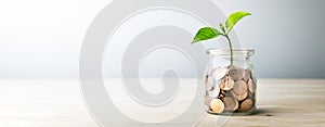 Plant Growing Out Of Coin Jar On Table In Office With Soft Grey Background