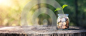 Plant Growing Out Of Coin Jar On Wooden Table With Green Nature Background