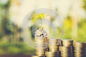 Plant growing out of coins